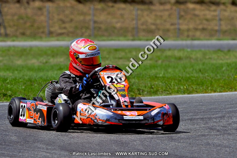 DSC_ (1517).jpg